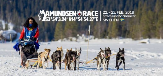 Amundsen Race