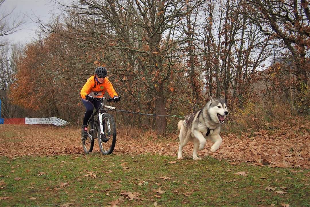 Bikejöring con Grey Wind. Fotografía de Pablo Samaniego